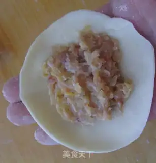 Make Pork dumplings step 5