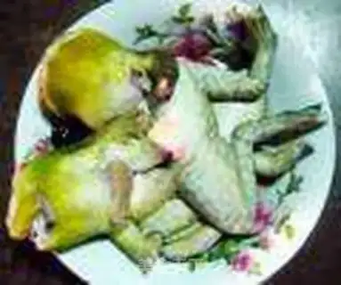 Make Spicy bull frog step 0