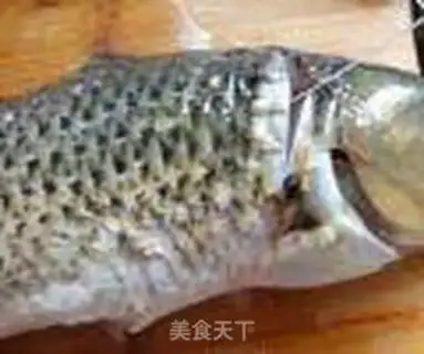Make Carp step 0
