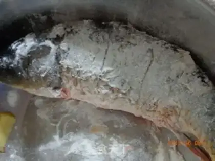 Make Carp step 2