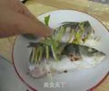 Make Vacuate herring step 10