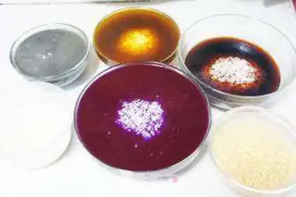 Make Five-colour rice step 7