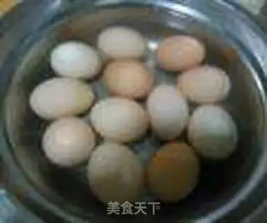 Make Algae step 3
