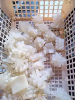 Make Hot pepper squid step 0