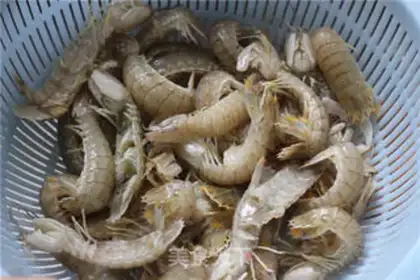 Make Shrimp step 0