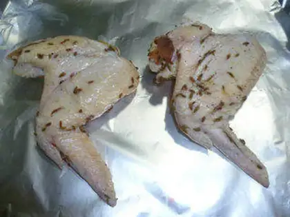 Make ♪ With wings ♪ step 9
