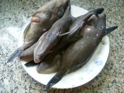 Make Scratching peppers, little rubber fish step 0
