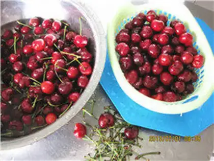 Make Pickled cherry step 1