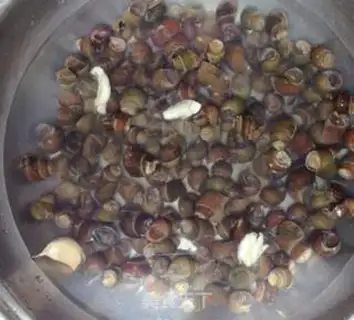 Make Hot snails step 1