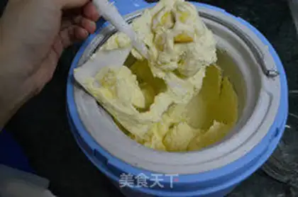 Make Mango fresh ice cream step 10