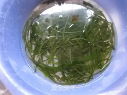 Make Spicy seaweed step 0