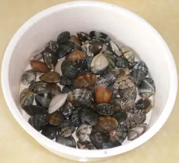 Make Onion spicy clams step 1