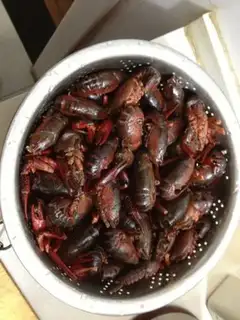 Make Spicy lobster step 0