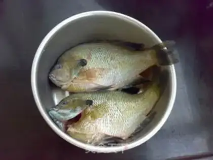Make Vanilla sunfish step 0