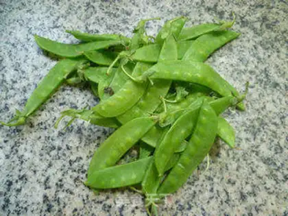 Make Dutch beans with pig ears step 0