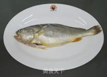 Make Squirt the yellowfish step 0