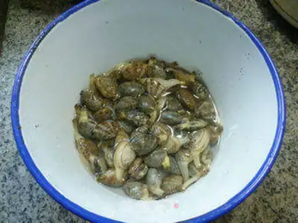Make Curry clams step 0