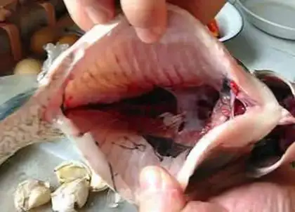 Make Fish step 1