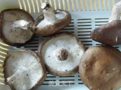 Make Meat tofu makes mushrooms step 0