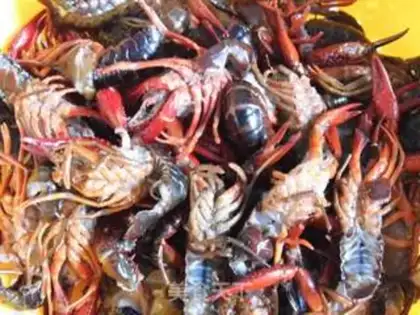Make Spicy lobster step 0