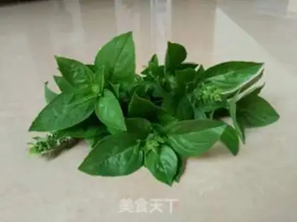 Make Fresh mint tea step 0