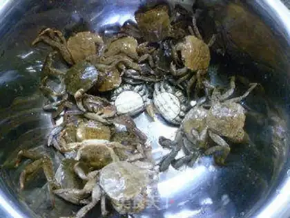 Make Crabs step 0