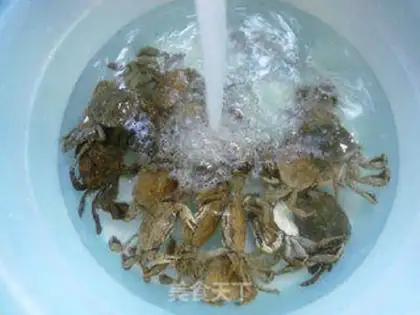 Make Crabs step 6