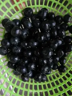 Make Mini-Blueberry Sugar step 1