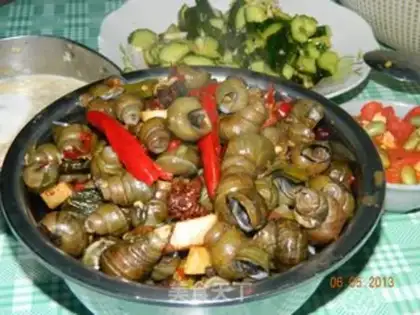Make The snail step 9