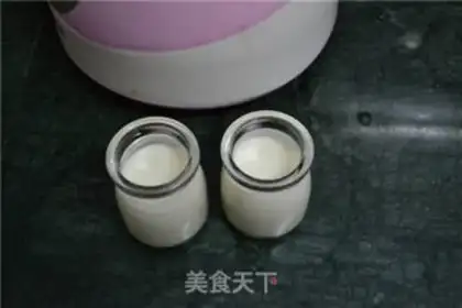 Make Yogurt step 5