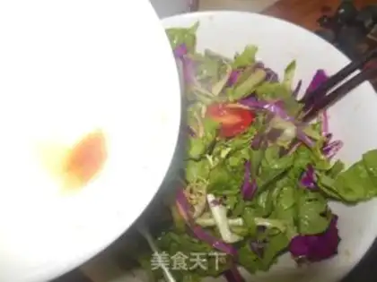 Make Lemon oil vinegar salad step 9