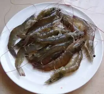 Make Shrimp step 0