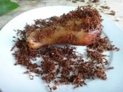 Make Ants carry chicken legs step 7