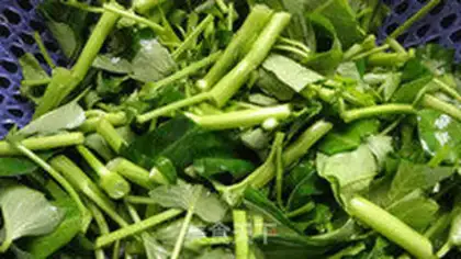 Make Sour cabbage step 0