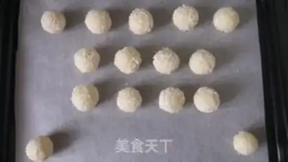 Make Protein coconut ball step 6