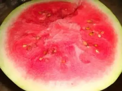 Make Ice melon step 0