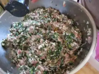 Make Shrimp dumplings step 14