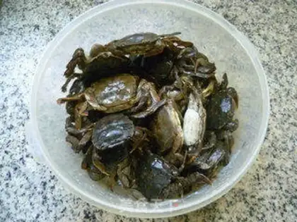 Make Fried crabs step 3