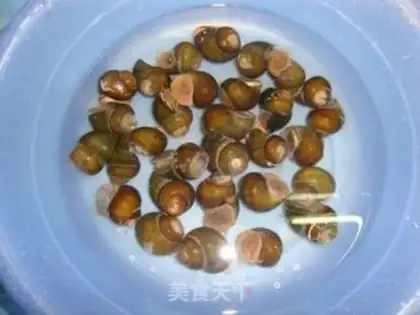Make Sour field snail step 0