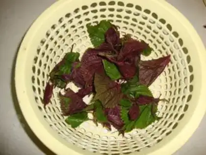 Make Sour field snail step 2