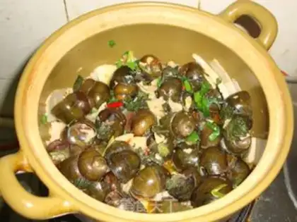 Make Sour field snail step 9