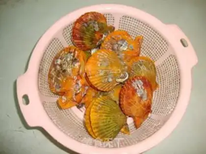 Make Fan shells step 0