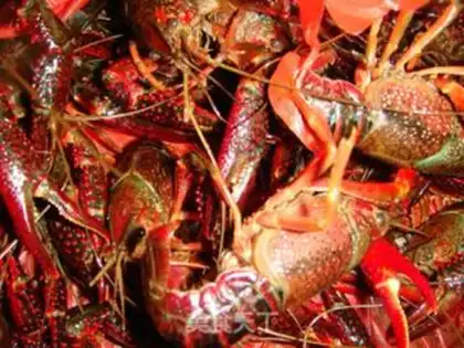 Make Vacuate the lobster step 0