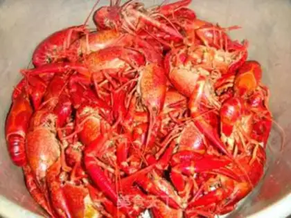 Make Vacuate the lobster step 5