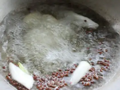 Make Shrimp step 2
