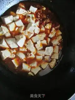 Make Meat tofu step 10