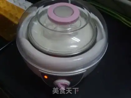 Make Homemade yogurt step 5