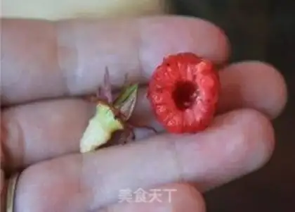 Make Raspberry jam step 1