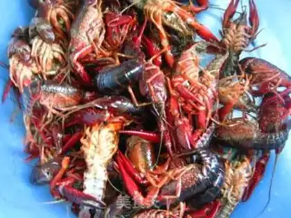 Make Spicy lobster step 8