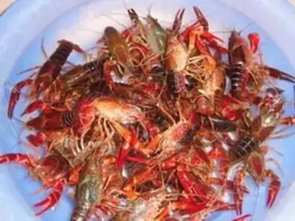 Make Delicious lobster step 0
